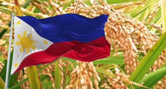 නව වී ප්‍රභේද හඳුන්වා දීමට පිලිපීනයේ එකඟතාව.